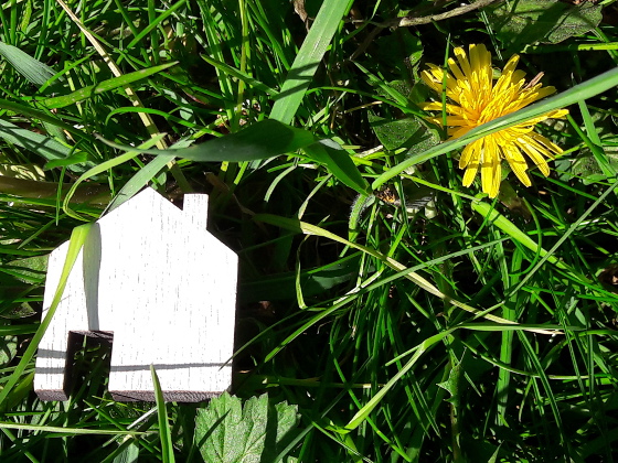 Holzhäuschen auf Wiese mit Löwenzahn © aktion pro eigenheim Holzhäuschen auf Wiese mit Löwenzahn © aktion pro eigenheim