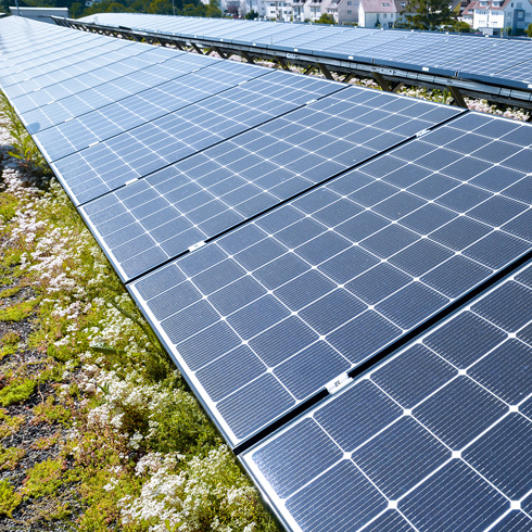 Photovoltaik und Dachbegrünung in Kombination mit Solarunterkonstruktion BauderSOLAR G LIGHT © Paul Bauder GmbH & Co. KG
