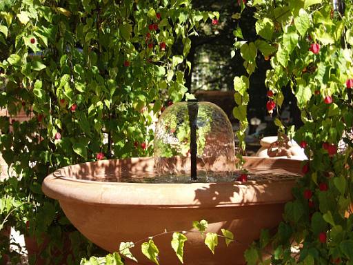 Mit Pflanzen bewachsenes Rankgitter als Sonnenschutz © Indola il Toscana e.K. Mit Pflanzen bewachsenes Rankgitter als Sonnenschutz © Indola il Toscana e.K.