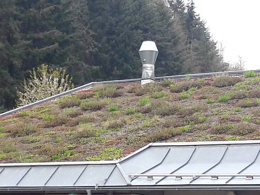 Dachbegrünung © Deutsche Bundesstiftung Umwelt (DBU) Dachbegrünung © Deutsche Bundesstiftung Umwelt (DBU)