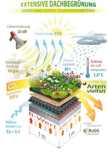 Leistung von einem Quadratmeter Gründach © Bundesverband GebäudeGrün e. V. (BuGG) Leistung von einem Quadratmeter Gründach © Bundesverband GebäudeGrün e. V. (BuGG)