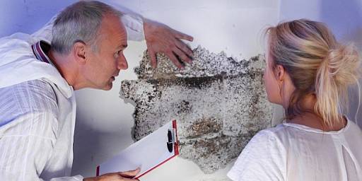 Schimmel im Haus Schimmel im Haus