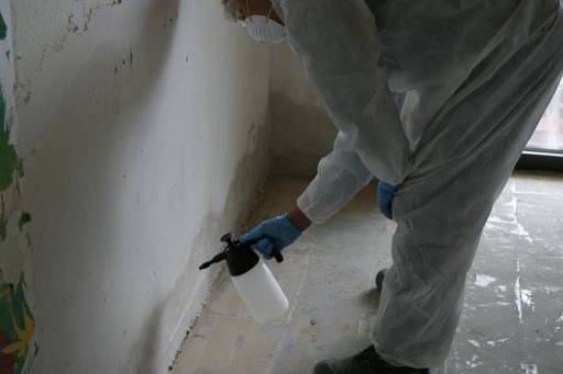 Schimmelsanierung mit Sprühverfahren © aus Frank Frössel "Schimmelpilze in Wohnungen" (Baulino Verlag)