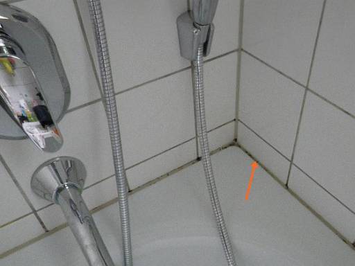 Schimmel auf den Silikonfugen einer Badewanne © Holger Rieck Schimmel auf den Silikonfugen einer Badewanne © Holger Rieck