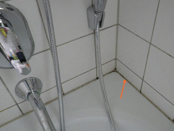 Schimmel auf den Silikonfugen einer Badewanne © Holger Rieck Schimmel auf den Silikonfugen einer Badewanne © Holger Rieck