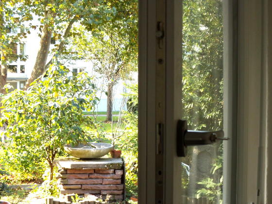 Blick in den Garten durch offenes Fenster &copy; energie-fachberater.de